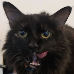 Meet your Posher, Ciara